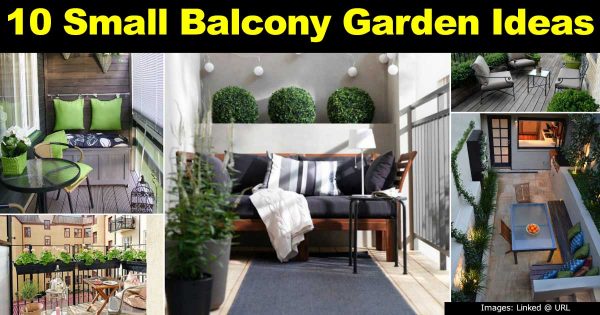 Balcony Garden Ideas: How To Dress Up Your Balcony
