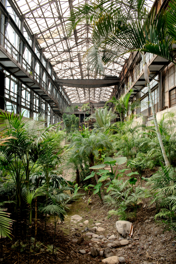 A Hidden Greenhouse Garden in Mexico City Abandoned Factory