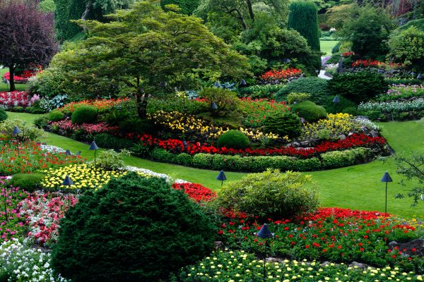 The Best US Cities for Plant Lovers