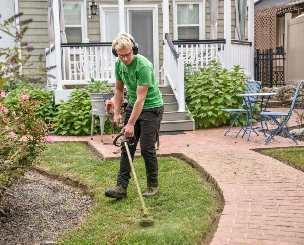 landscaping maintenance services